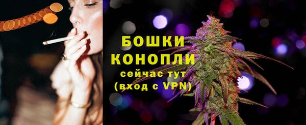 винт Бородино