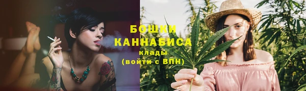винт Бородино