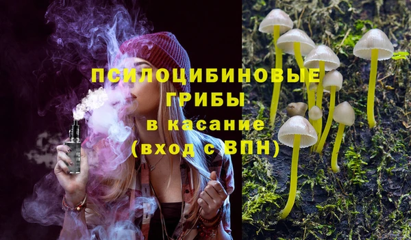 винт Бородино