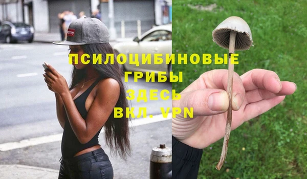 винт Бородино